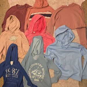 Assorted Hoodies in Various Colors